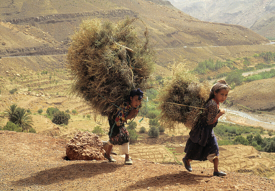 Valley of Aït Bougmez, High Atlas. Morocco