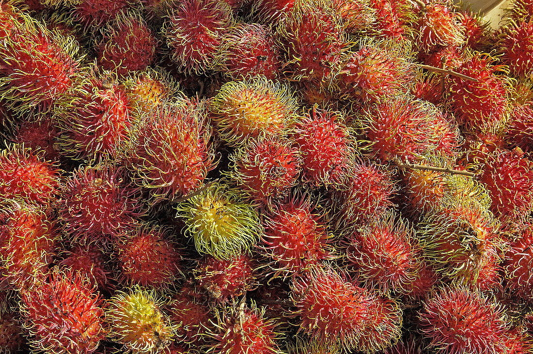 Malaysia. Terenganu. Tropical fruits