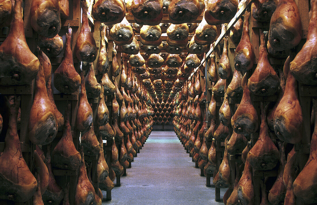 During seasoning, each ham is hand-checked one-by-one. San Daniele ham. Friuli. Italy.