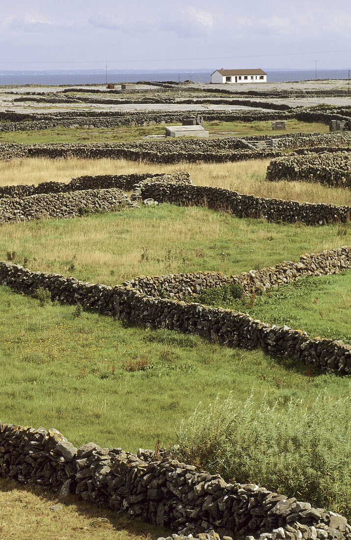 Inishmaan. Aran Islands. Ireland.