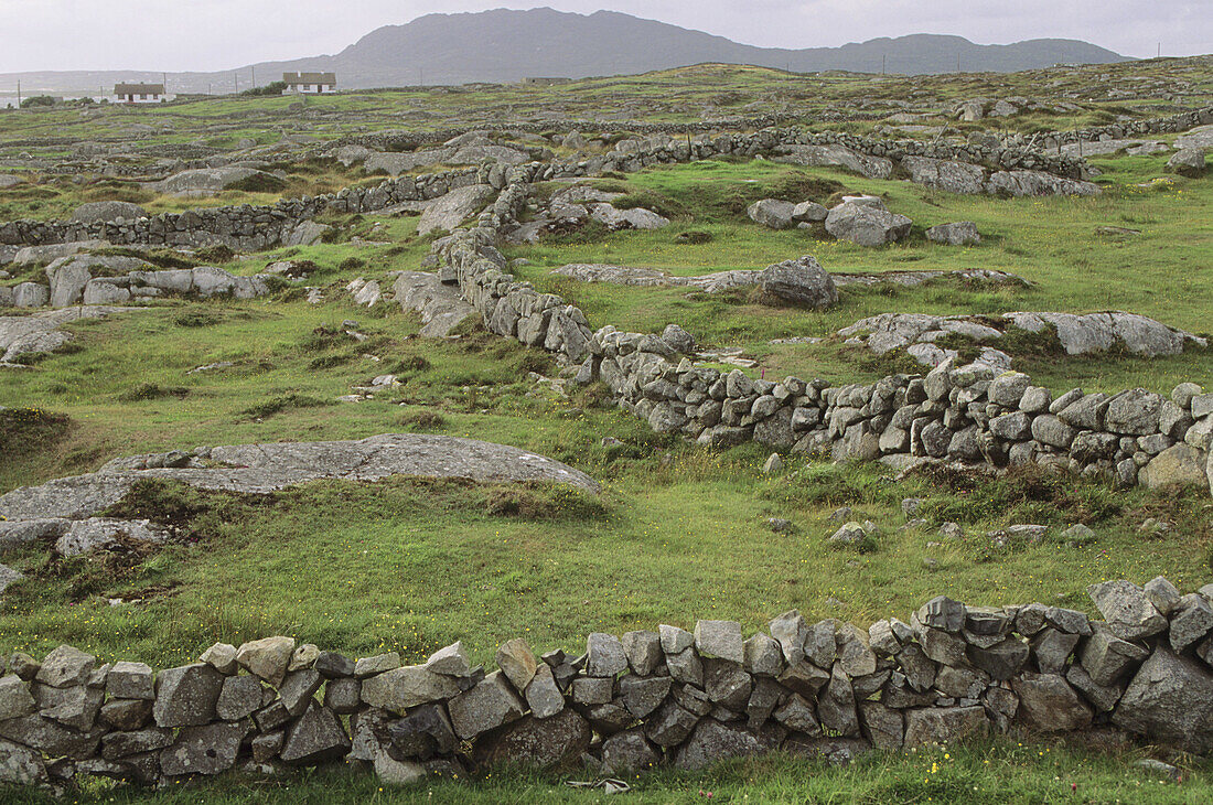 Carna area. Connemara. County Galway. Ireland.