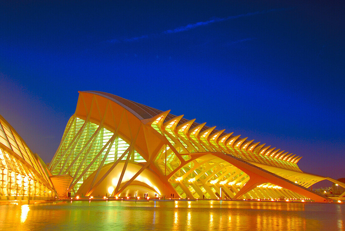 City of Arts and Sciences, by S. Calatrava. Valencia. Spain