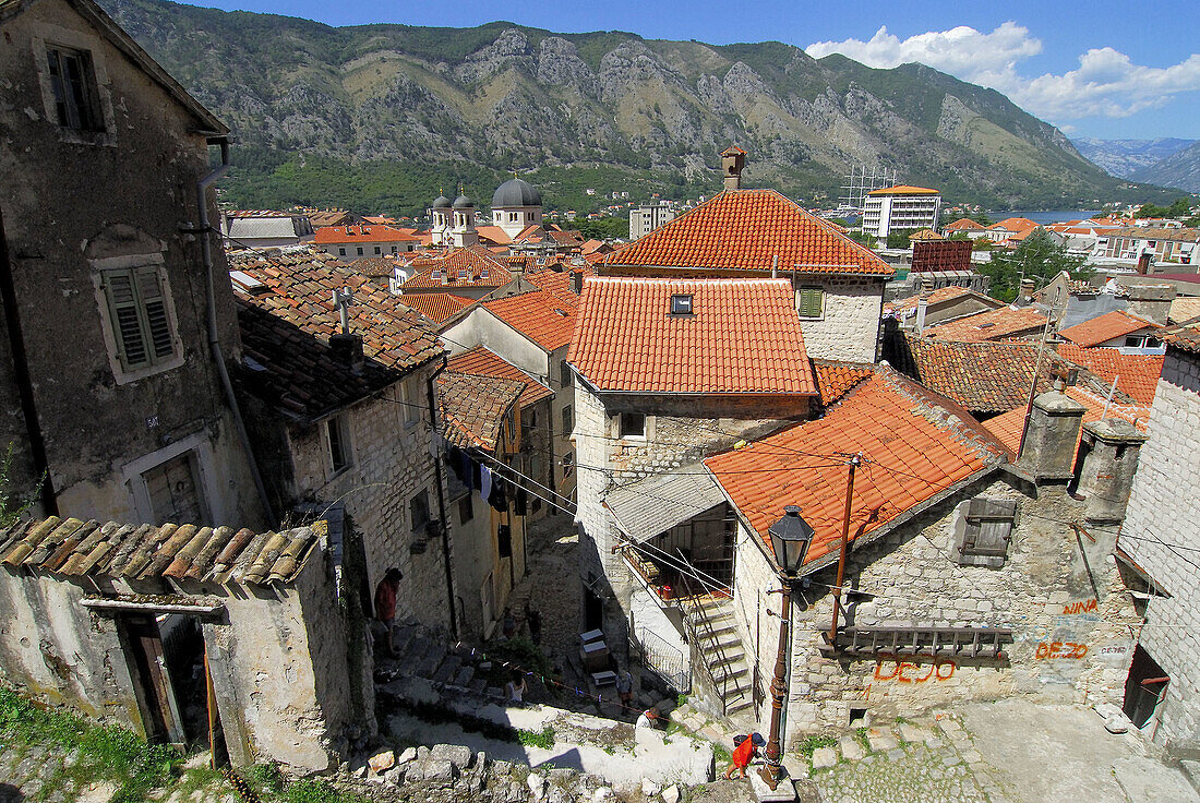 Kotor (Patrimony of Humanity). Montenegro, Balkan States.