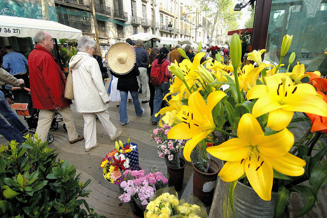 Las Ramblas. Barcelona. Catalonia. Spain