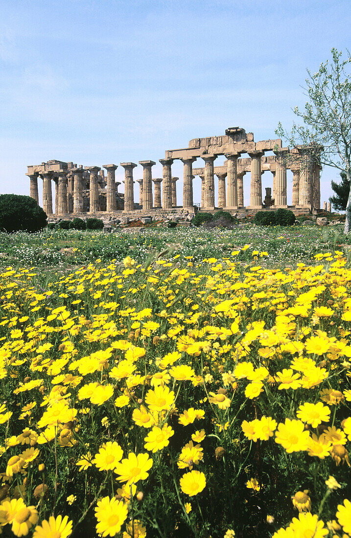 Italy. Sicily. Selinunte. Ruins of Greek temple from seventh century BC. Province of Trapani.