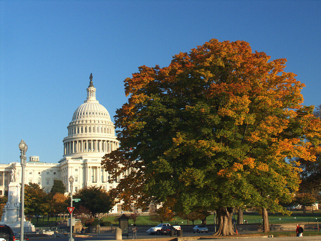  Amerika, Architektur, Außen, Baum, Bäume, Dom, Farbe, Gebäude, Großtadtlandschaft, Großtadtlandschaften, Horizontal, Kapitol, Klassisch, Macht, Mid-Atlantic USA, Nordamerika, Nordosten USA, Northeast USA, Plätze der Welt, Politik, Reisen, Sehenswürdigkei