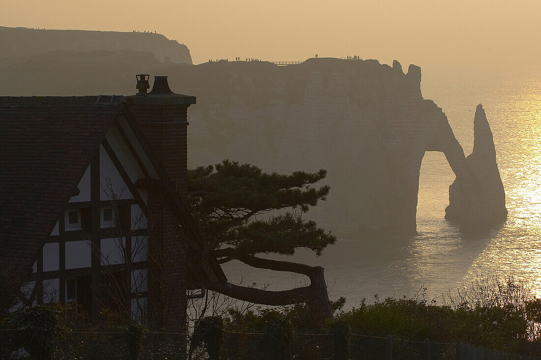 Kreidefelsen an der Küste von Etretat bei Sonnenuntergang, Dept. Seine-Maritime, Normandie, Frankreich, Europa