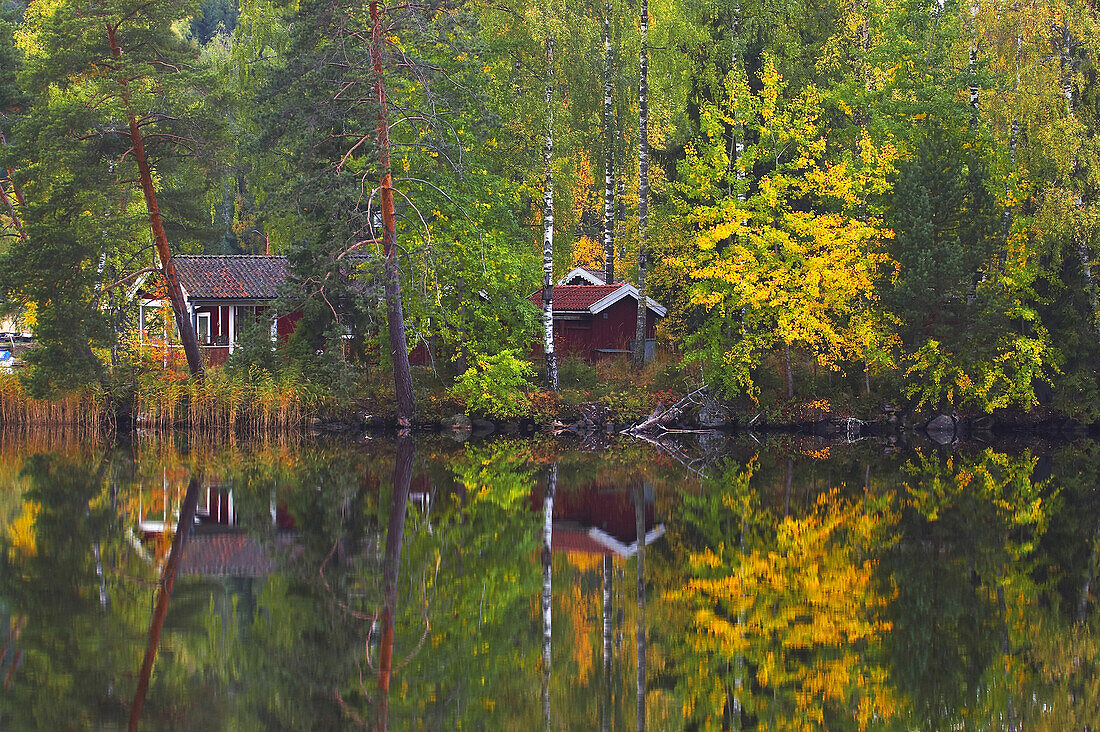 Herbst bei Smedjebacken am See Norra Barken in Dalarna, Mittelschweden