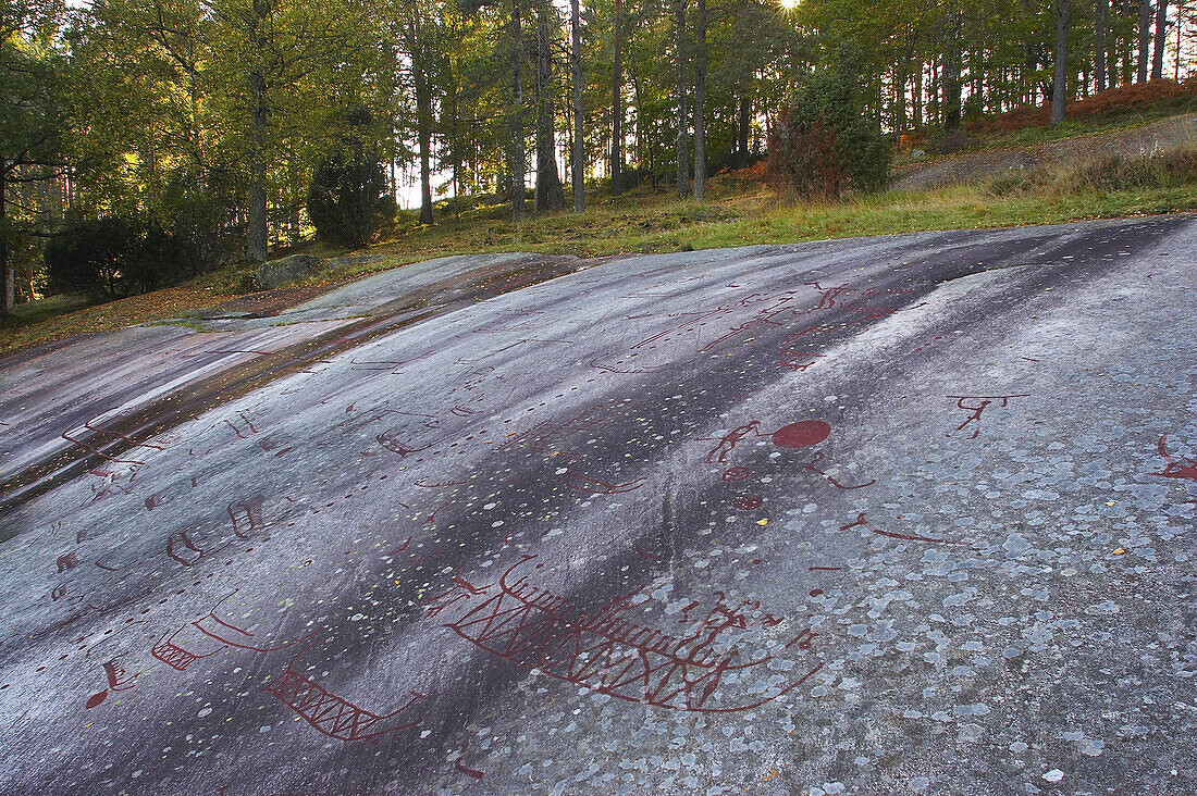Carvings in rock haellristningar in Vitlycke near Tanum in Bohuslaen, southern Sweden