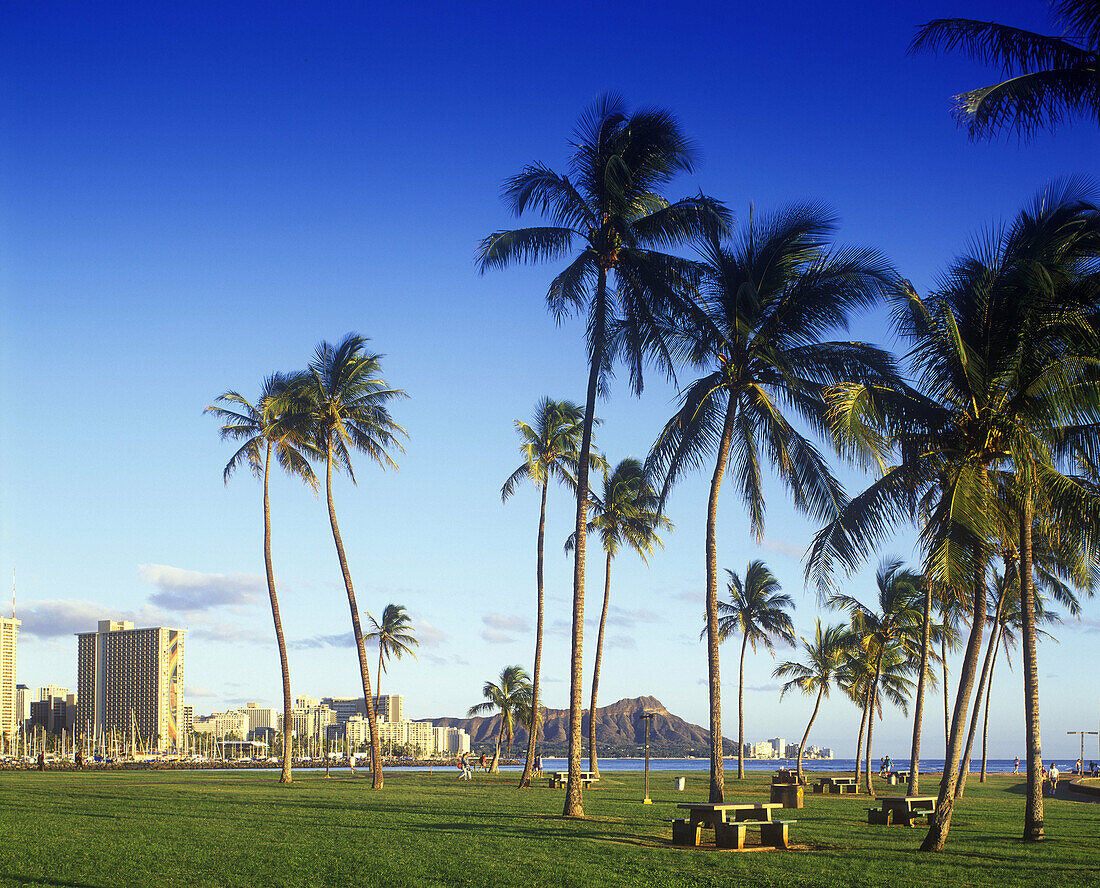 Waikiki from ala moana park, honolulu, oahu, hawaii, USA.