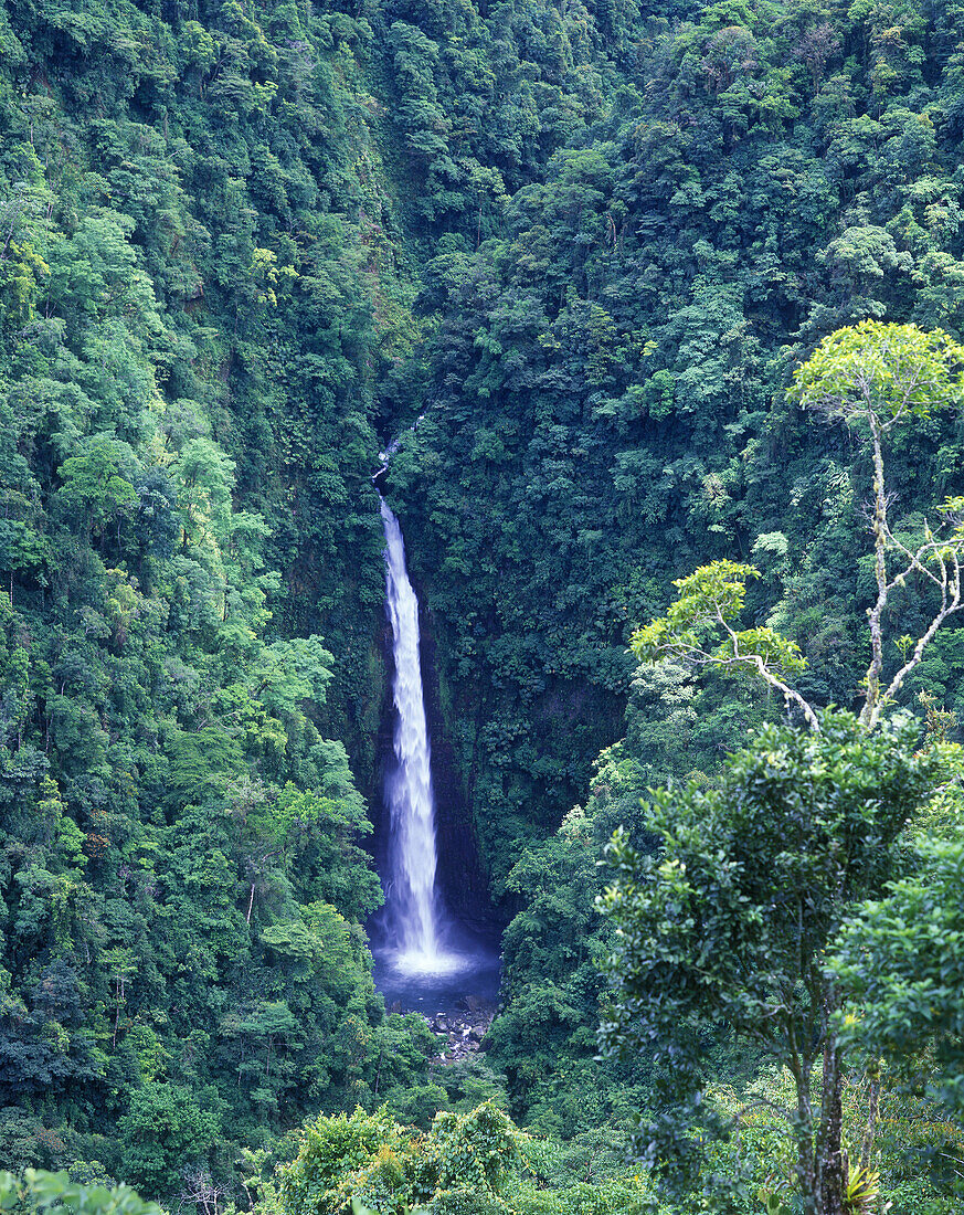 Scenic san fernando waterfalls, Braulio carrillo National Park, Costa Rica.