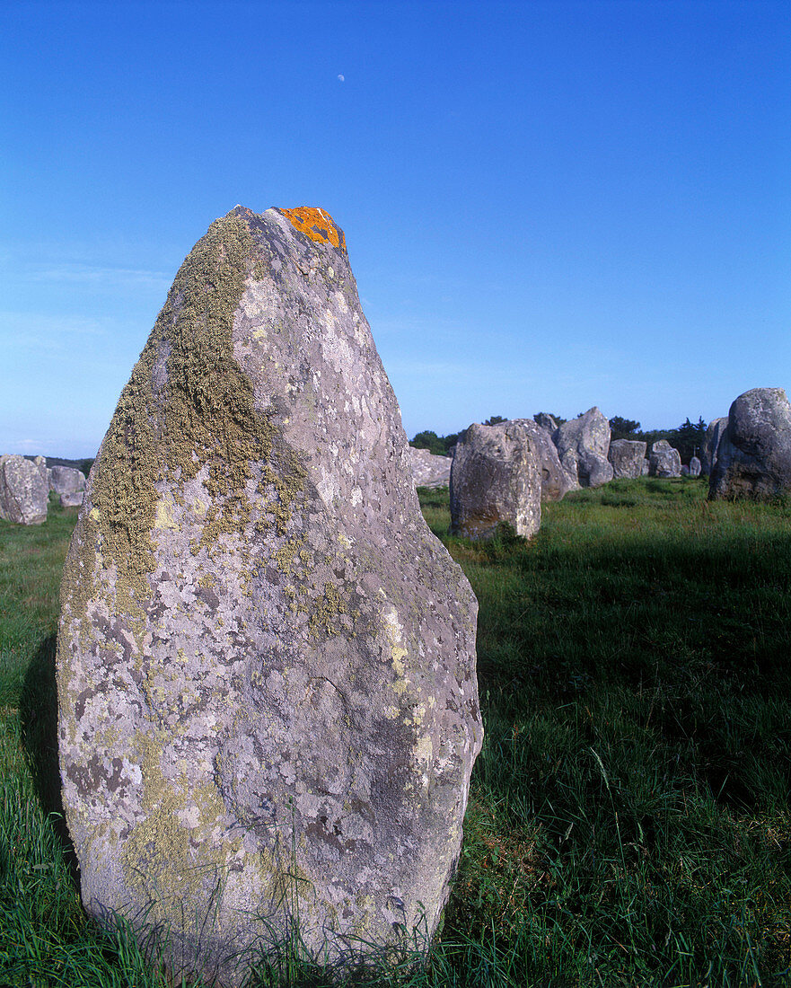 Scenic alignments de kermario ruins, Carnac, Brittany, France.