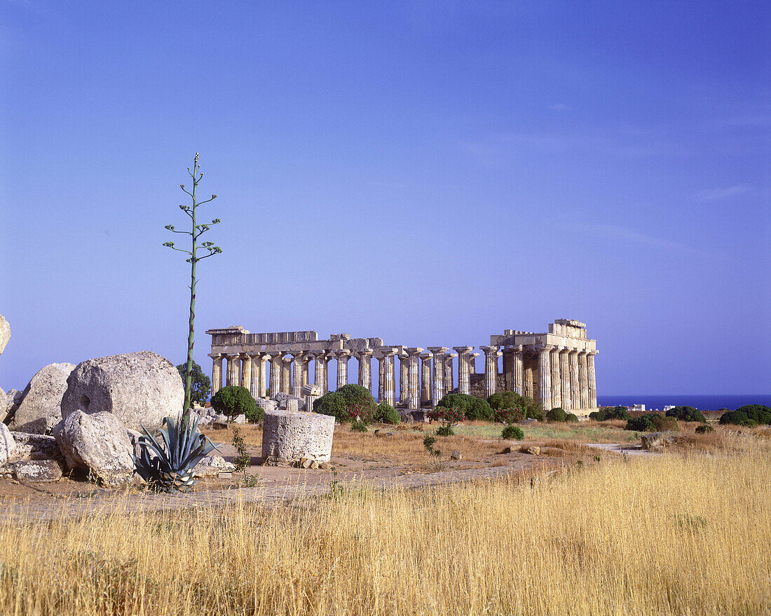 Greek ruins, Selinunte, Sicily, Italy.
