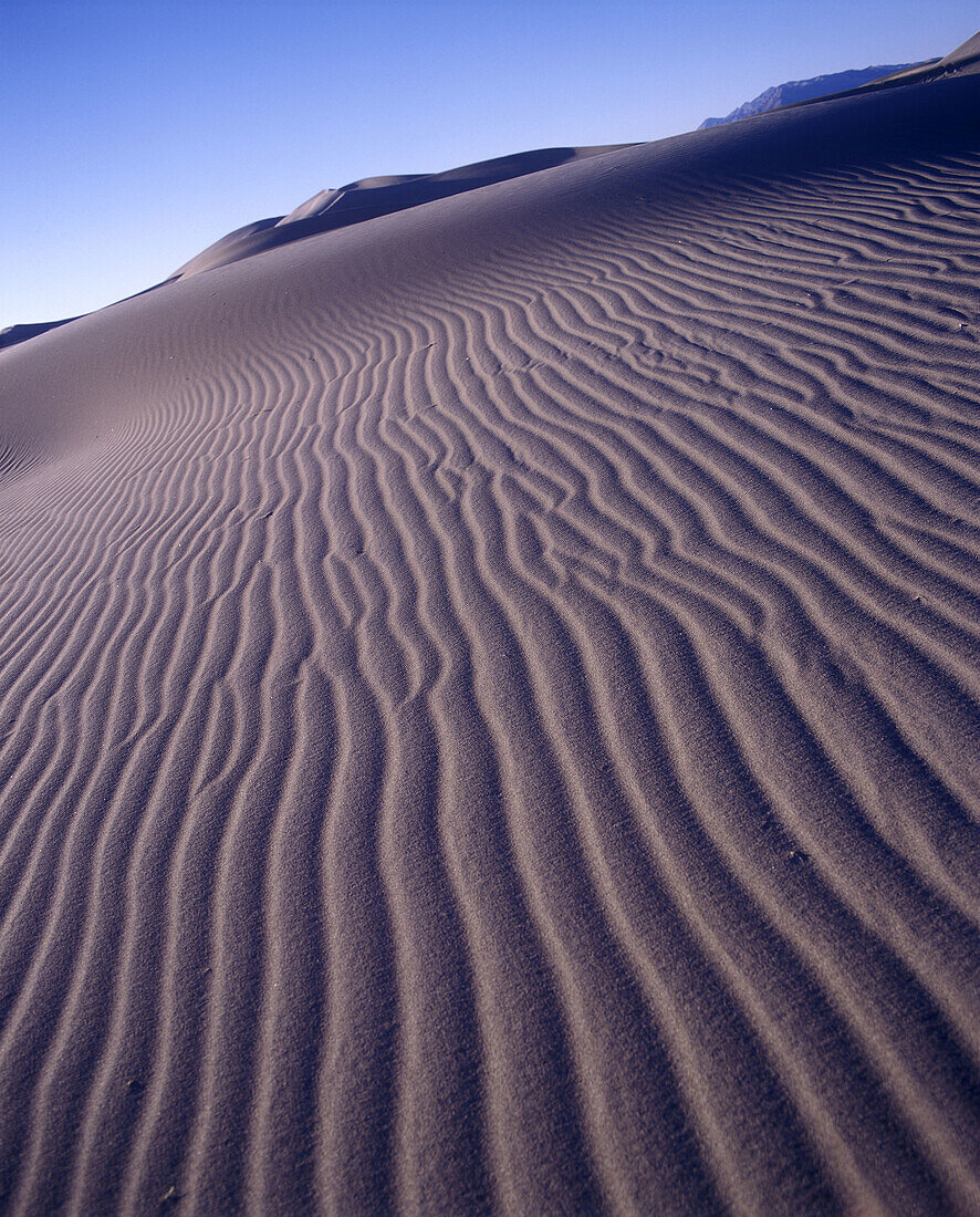 Scenic big sand dune, Amargosa desert, Nevada, USA.