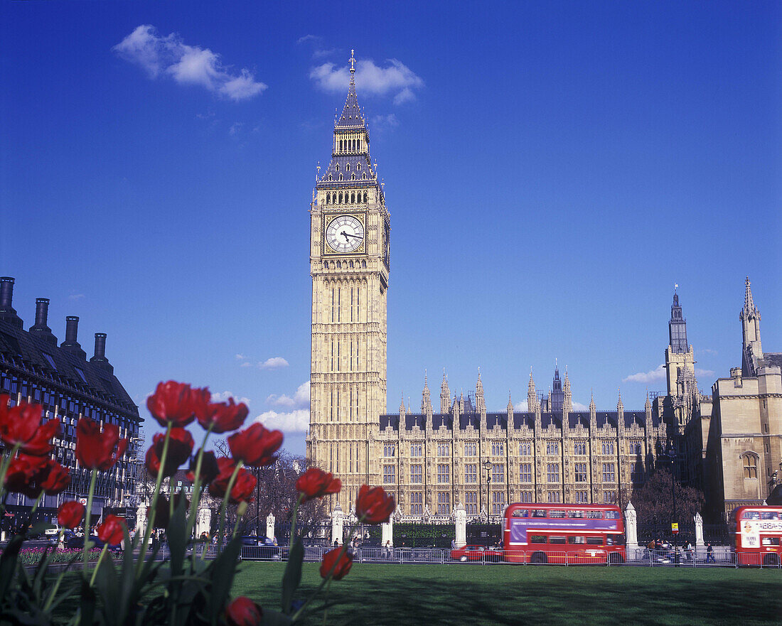 Houses of parliament, Parliament square, London, England, U.K.