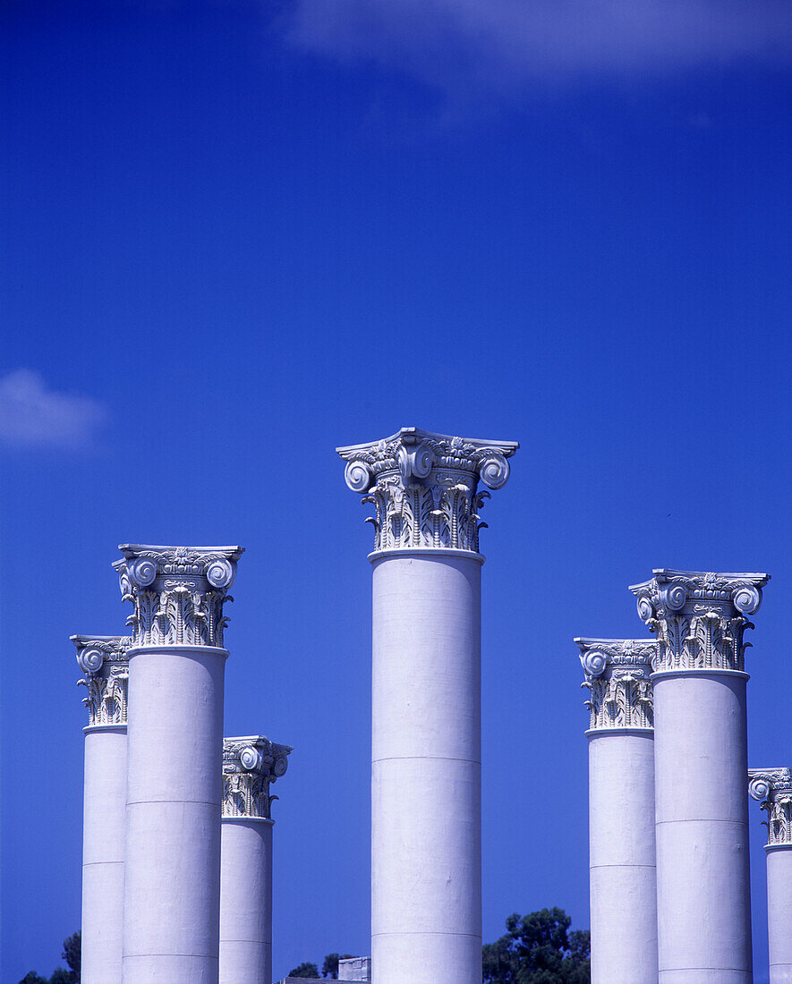 Corinthian style columns.