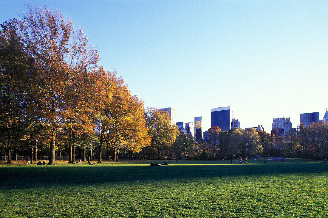 Fall folliage, Central Park, Manhattan, New York, USA