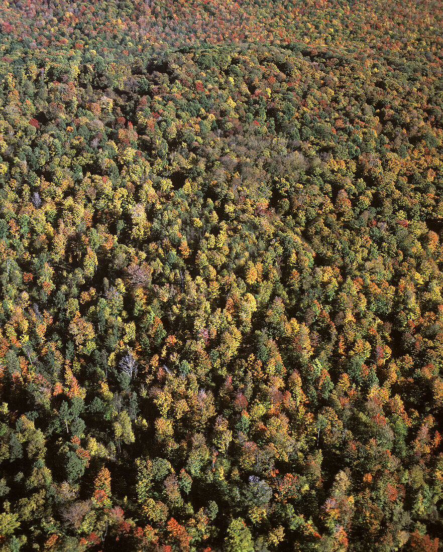 Scenic aerial: fall foliage, Jefferson county, Western pennsylvania, USA