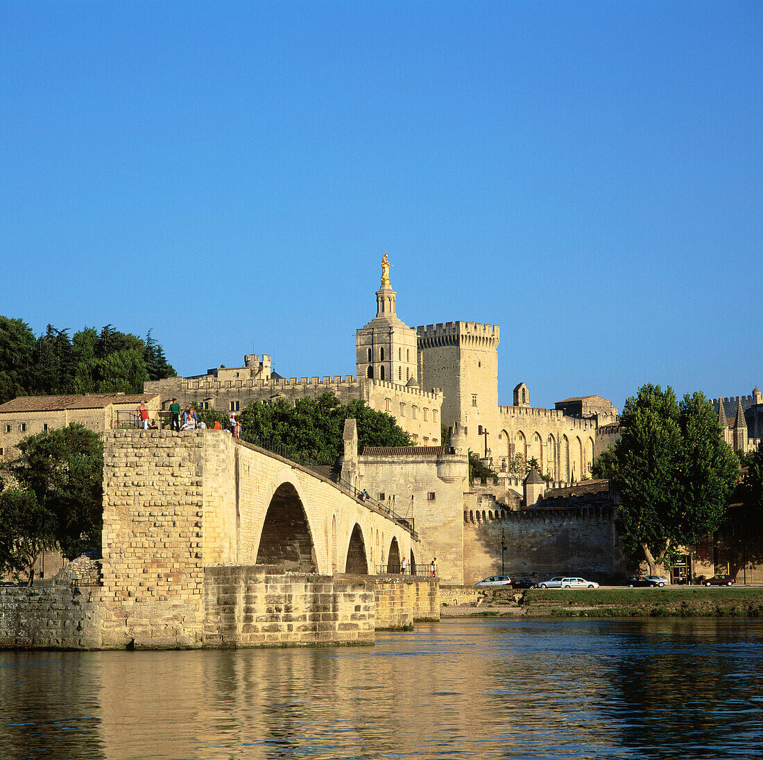 View of Avignon and Saint Benezet Bridge over the Rhone. Provence. France