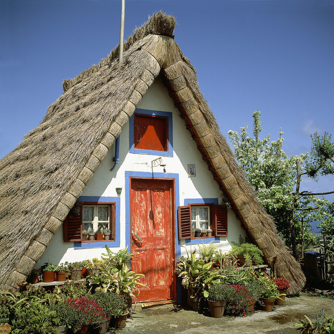 Traditional thatched house. Santana. Madeira Island, Portugal