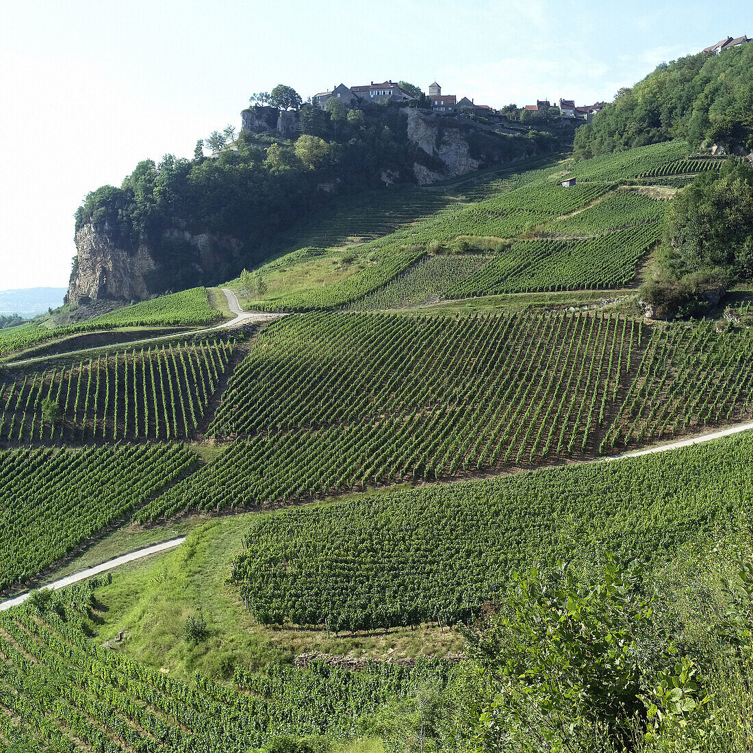 Vineyard and Château-Chalon village. Jura. France.