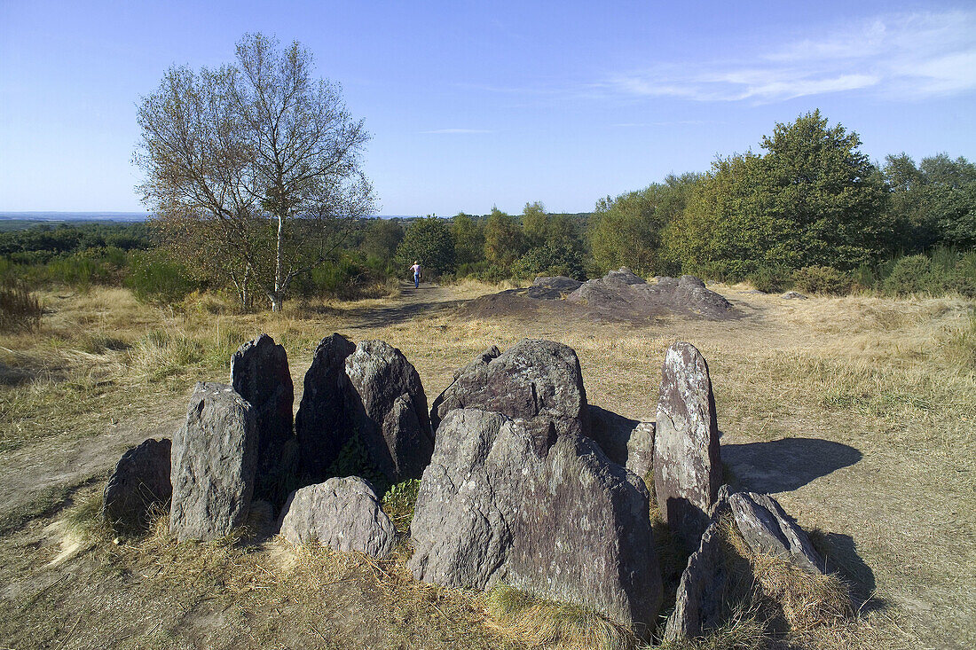 Vivian s House (Hotié de Vivianne) at forest of Brocéliande (aka forest of Paimpont). Brittany, France