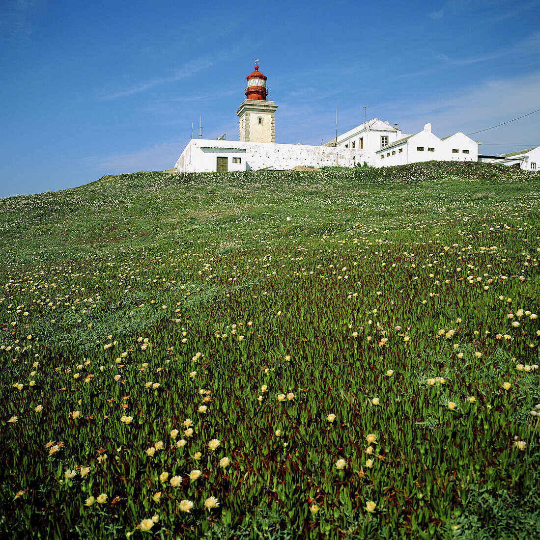 Cabo da Roca cape lighthouse, built in 1722 and blossoming meadow. Estremadura. Portugal.