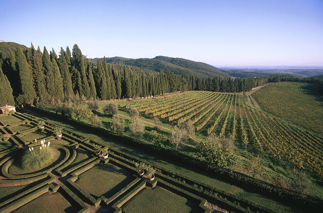 Gardens and vineyards of Brolio Castle. Chianti. Tuscany. Italy
