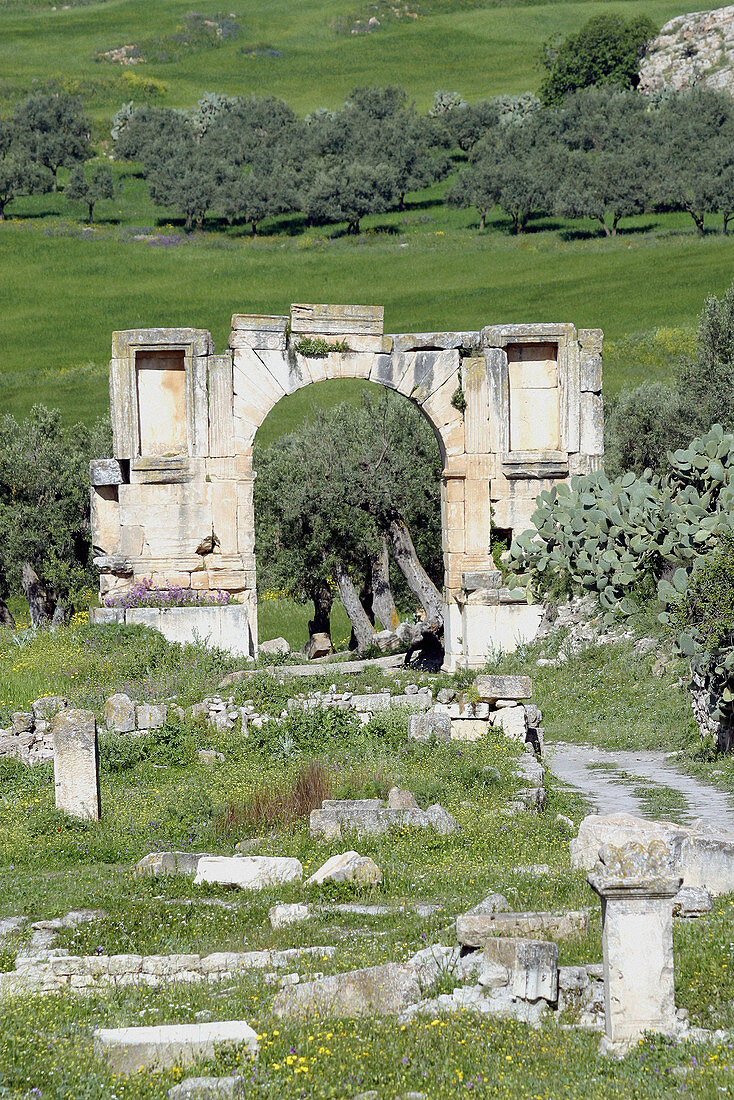 Arch of Septimius Severus, Roman ruins. Dougga. Tunisia
