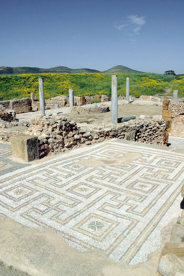 Ruins of old Roman city of Thuburbo Majus. Tunisia