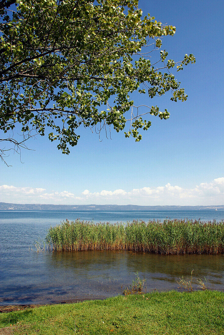 Bolsena Lake. Lazio, Italy