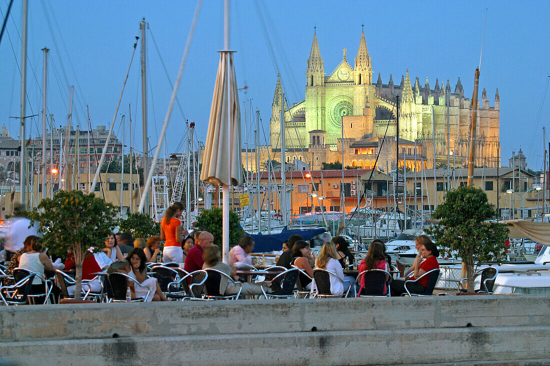 Outdoor cafe on waterfront and Gothic cathedral in background. Palma de Mallorca. Majorca, Balearic Islands. Spain