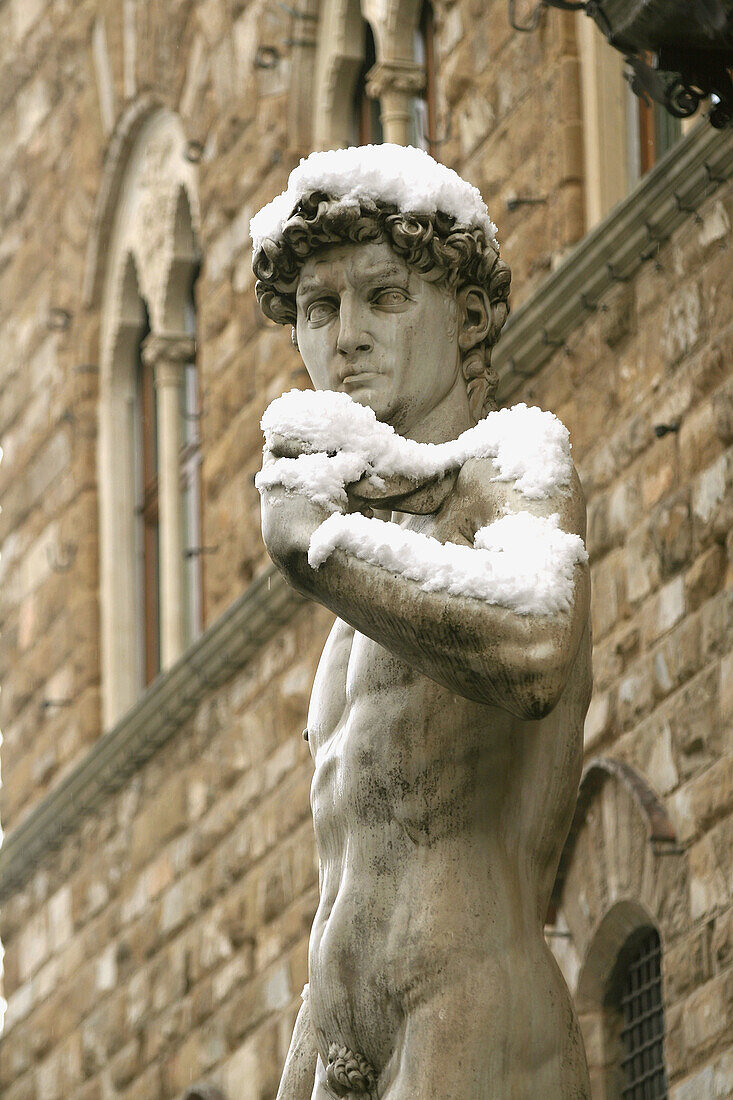 Replica of Michelangelo s David in Piazza della Signoria. Florence. Tuscany, Italy