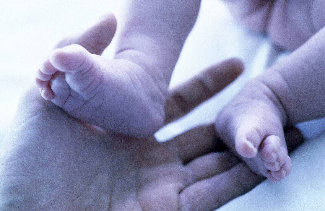  Adult, Adults, Babies, Baby, Barefeet, Barefoot, Child, Children, Close up, Close-up, Color, Colour, Contemporary, Detail, Details, Feet, Foot, Fragile, Fragility, Hand, Hands, Hold, Holding, Horizontal, Human, Indoor, Indoors, Infant, Infants, Inside, I