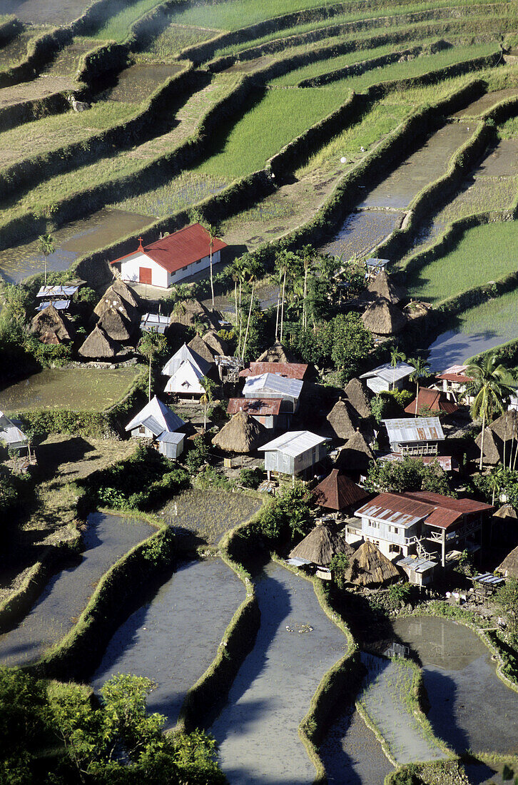 Described as the eighth wonder of the world, carved out of the hillside by Ifugao tribes people 2000 to 3000 years ago, they were declared a UNESCO World Heritage Site in 1995. Batad village. Banaue rice terraces. Philippines.