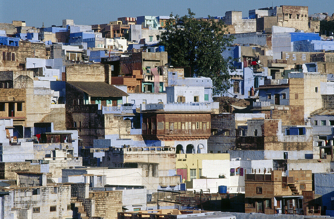 Jodhpur. Rajasthan. India.