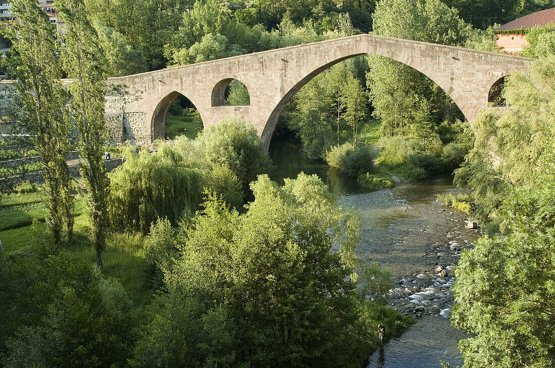 Pont Vell (14th century) and Ter River, Sant Joan de les Abadesses. Ripollès, Girona province, Catalonia, Spain