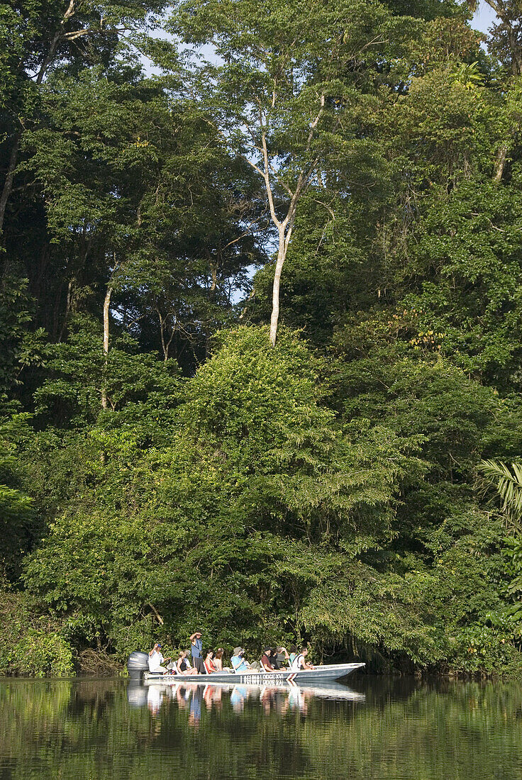 Ecotour in Tortuguero National Park channels. Atlantic Coast. Costa Rica. Central America