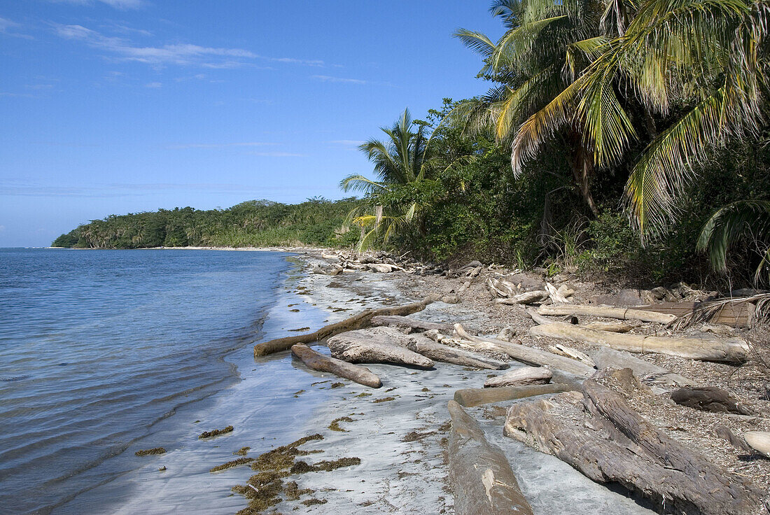 Beach and Punta Cahuita in background. Cahuita National Park.Costa Rica
