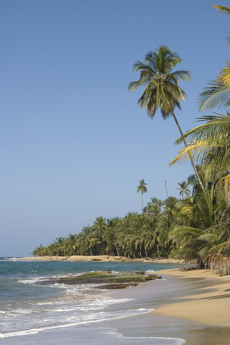 Punta Uva beach, located between Puerto Viejo and Manzanillo. Talamanca province. Costa Rica