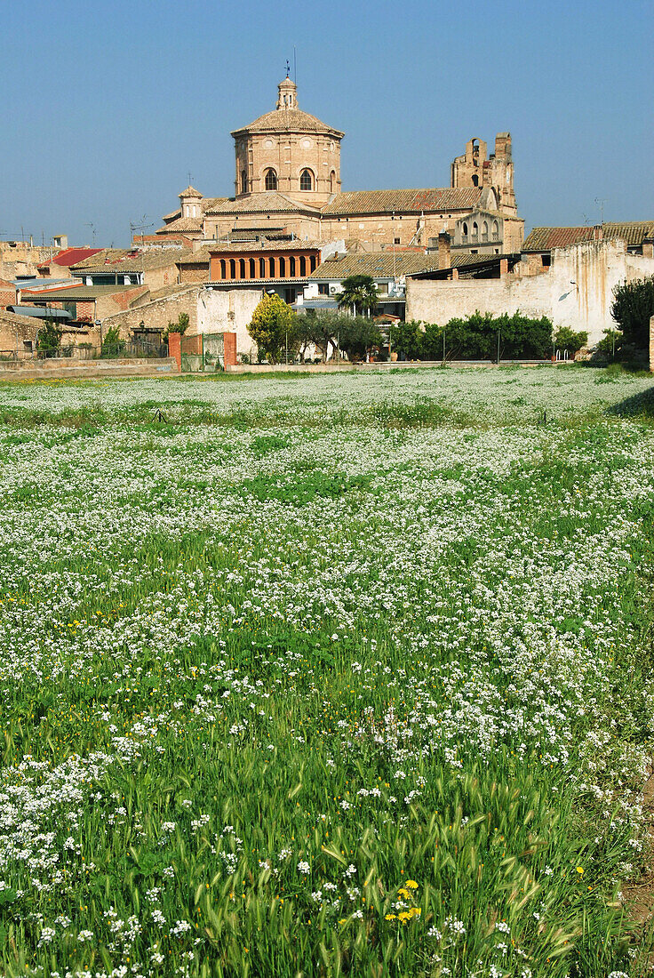 Ginestar. Ribera d Ebre, Tarragona province. Catalonia, Spain