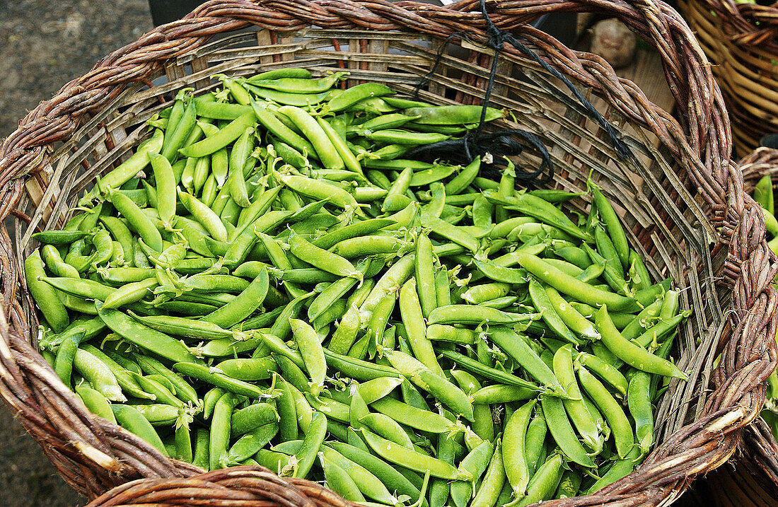  Abundance, Abundant, Agriculture, Basket, Baskets, Color, Colour, Country, Countryside, Crop, Crops, Daytime, Exterior, Farming, Food, Full, Green bean, Green beans, Harvest, Harvesting, Harvests, Healthy, Healthy food, Horizontal, Legume, Legumes, Many,
