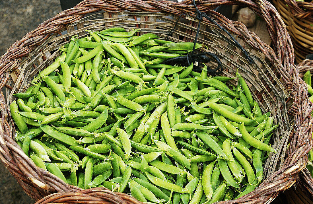  Aussen, Außen, Ernährung, Ernte, Ernten, Farbe, Gesunde Ernährung, Horizontal, Hülse, Hülsen, Hülsenfrucht, Hülsenfrüchte, Korb, Körbe, Land, Landbau, Landwirtschaft, Leguminose, Schote, Schoten, Stilleben, Tageszeit, Überfluss, Viele, Voll, B29-277471, 