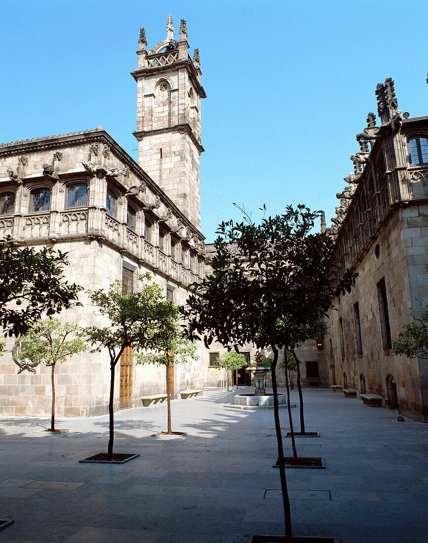 Pati dels Tarongers. Palau de la Generalitat. Barcelona. Spain.