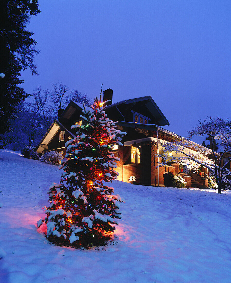 Christmas tree and house. Brookville Historic District. Pennsylvania. USA