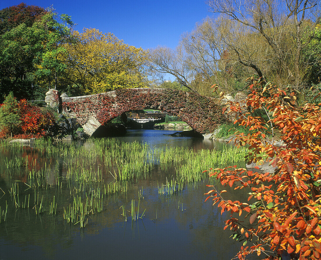 Fall foliage, pond and Gapstow Bridge in Central Park, Manhattan. New York City, USA