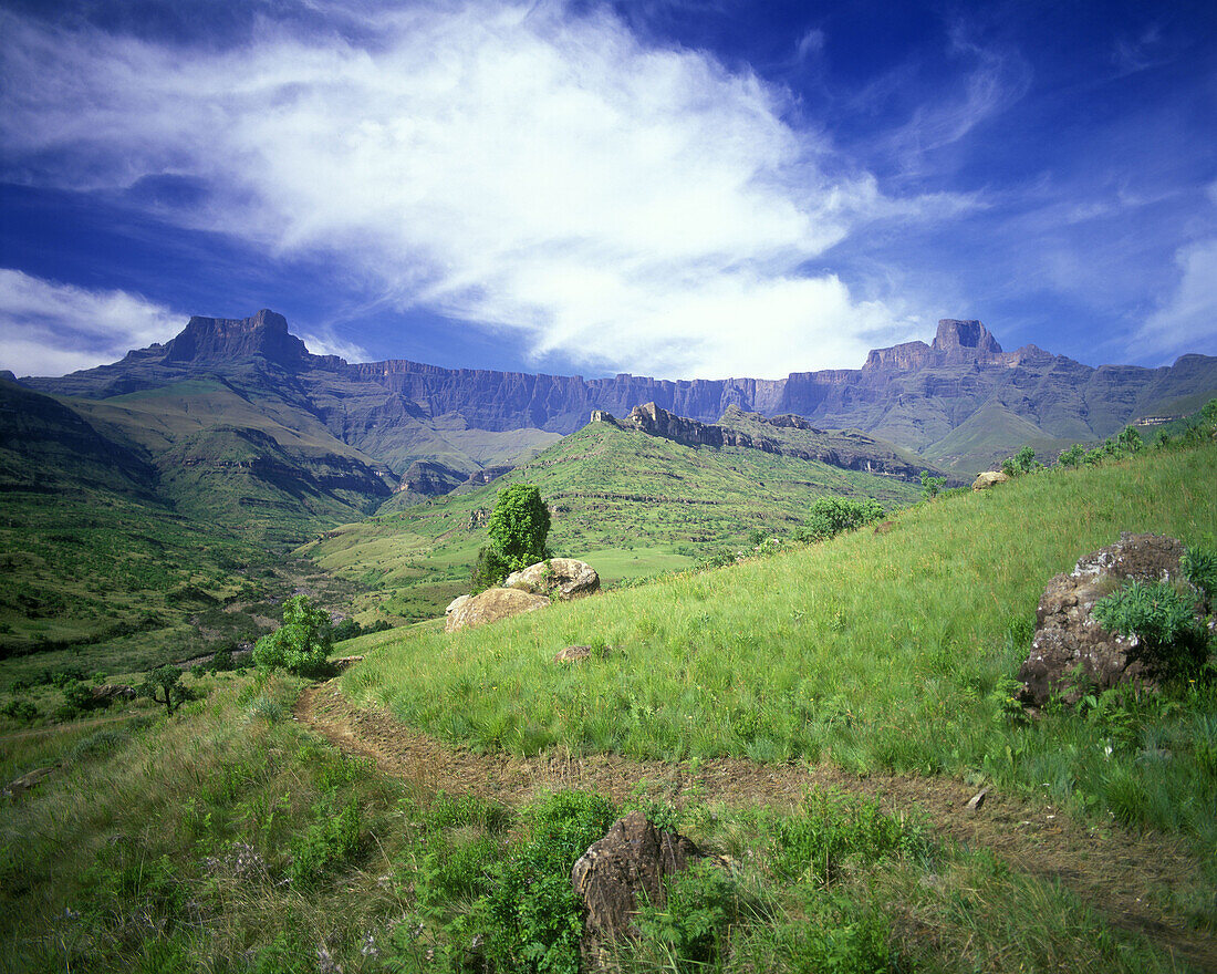 Scenic amphitheatre, Royal natal … – License image – 70117164 lookphotos