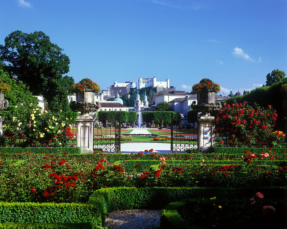 Mirabellgarten gardens, Salzburg, Austria.