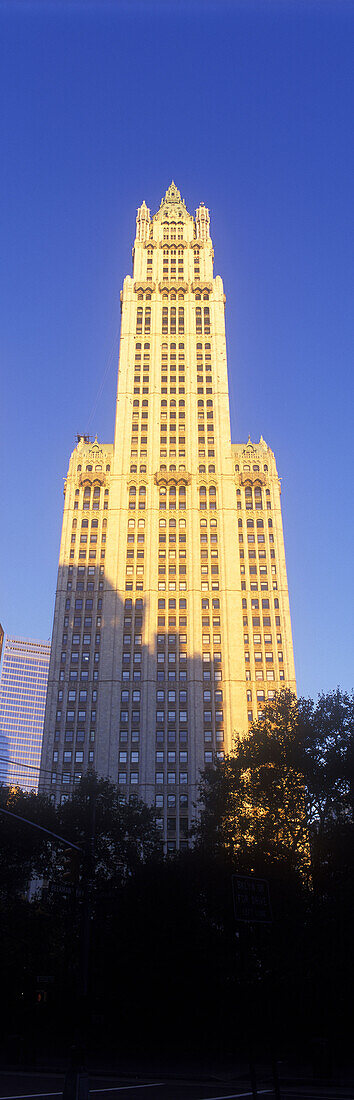 Woolworth building, Broadway, Downtown, Manhattan, New York, USA