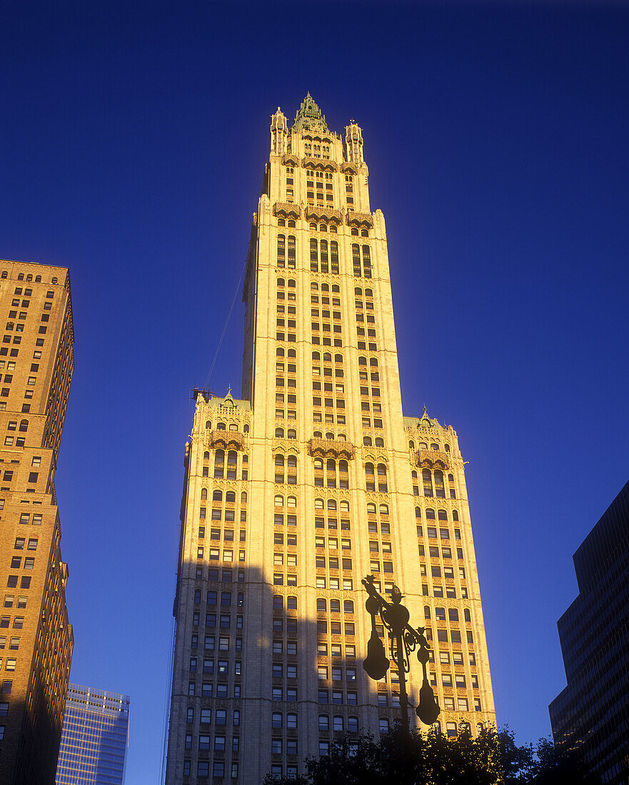 Woolworth building, Broadway, Downtown, Manhattan, New York, USA